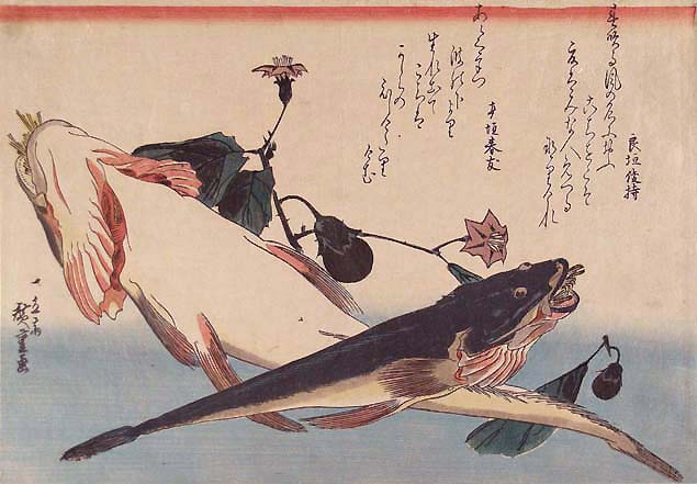 Hiroshige, bartail flatheads and a flowering egg-plant